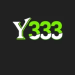 Y333 Game