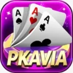 PKAVIA GAME